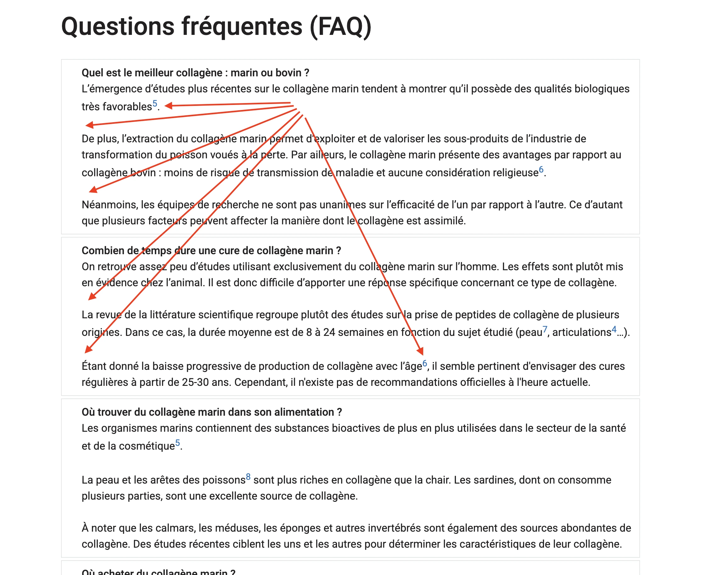HTML 태그가 포함된 Yoast FAQ 블록
